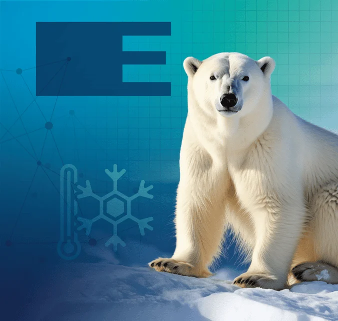 Header Home – Ermeling & Söhne Headerbild zeigt Eisbär