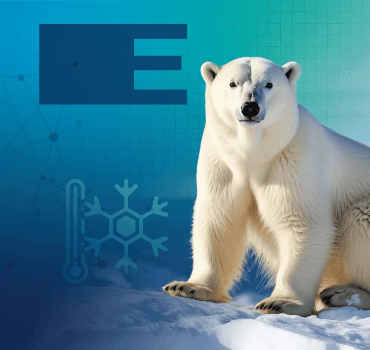 Header Home – Ermeling & Söhne Headerbild zeigt Eisbär